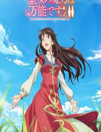 圣女的魔力是万能的 第二季