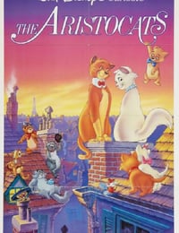 猫儿历险记