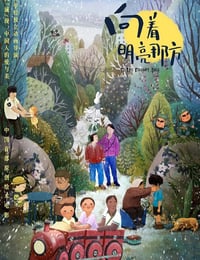 向着明亮那方