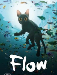 猫猫的奇幻漂流