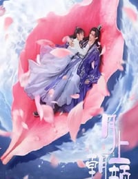 月上朝颜