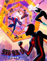 蜘蛛侠：纵横宇宙