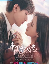南风知我意