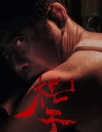 光合计划