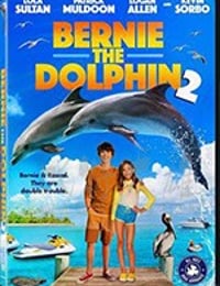 海豚伯尼2