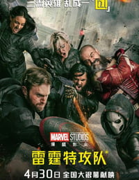雷霆特攻队*