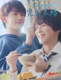 完美求婚