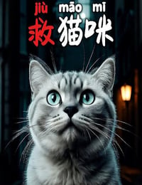 救猫咪