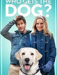 狗狗监护权