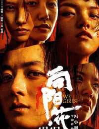 出狱女子的故事