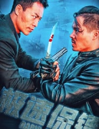 极速保镖