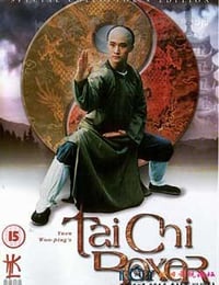 功夫小子闯情关