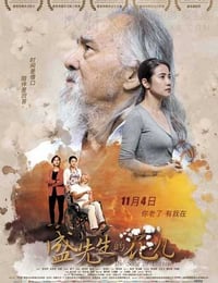 盛先生的花儿
