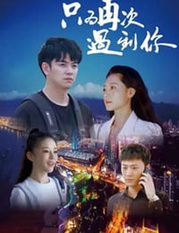 只为再次遇见你