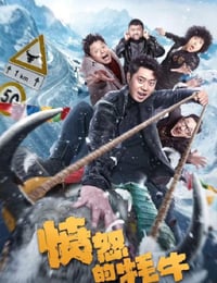 愤怒的牦牛