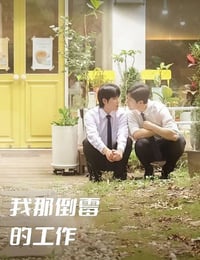 我那倒霉的工作