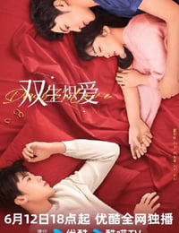 双生炽爱