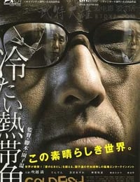 冰冷热带鱼