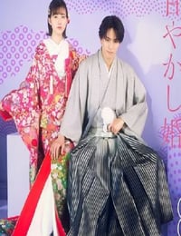 过度保护的少爷的溺爱婚姻