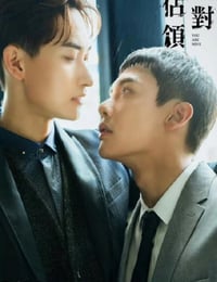 绝对占领