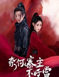奈何寨主不好当