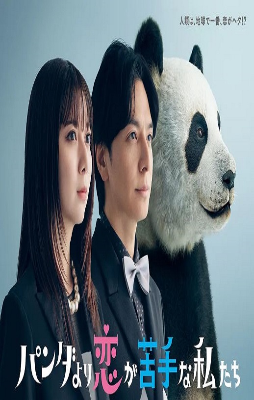 比熊猫更不擅长恋爱的我们