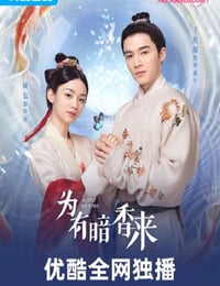 为有暗香来