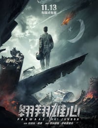 翱翔雄心