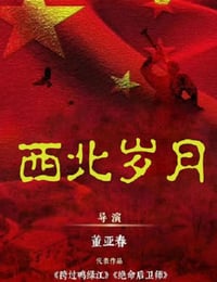 西北岁月
