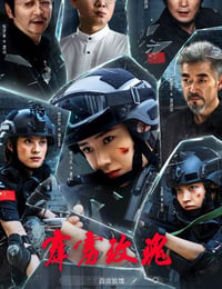 霹雳玫瑰