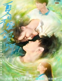 夏日不宜入爱河