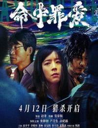命中罪爱