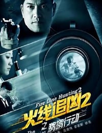 火线追凶2之鹈鹕行动