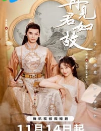 再见君如故