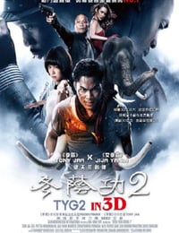 冬荫功2：拳霸天下
