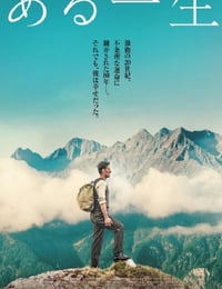 人生一世海报