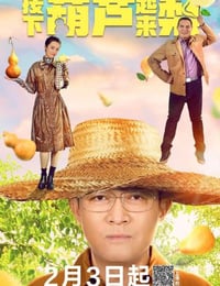 我来自北京之按下葫芦起来梨