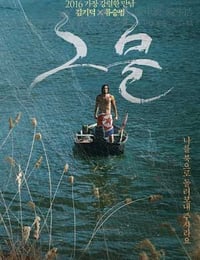 网