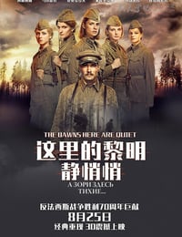 这里的黎明静悄悄