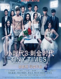 小时代3：刺金时代