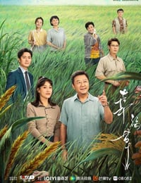 幸福草