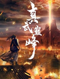 真武巅峰海报