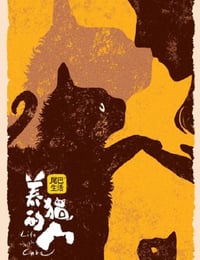 养猫的人