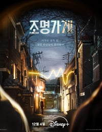 照明商店