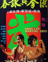 洪拳与咏春