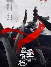 盗圣一枝梅