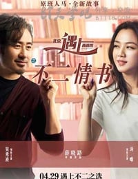 北京遇上西雅图之不二情书