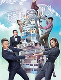 婚姻合伙人