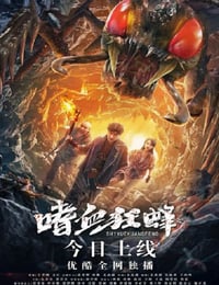 嗜血狂蜂
