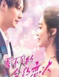 看不见的合约恋人